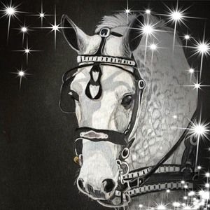 Meet your Posher, Kris heverin